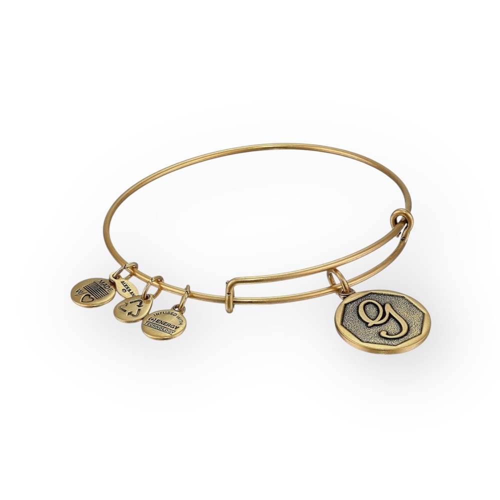 new Alex and Ani ꥟ Mini Script Initial "G" Wire Bangle Bracelet ꥟ Rafaelian Gold